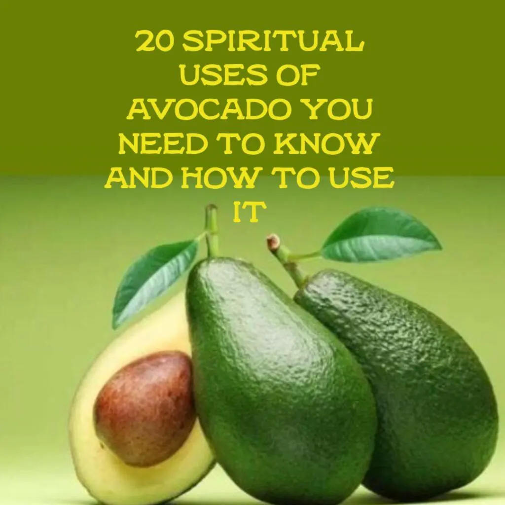 20 Spiritual Uses Of Avocado You Need To Know And How To Use It