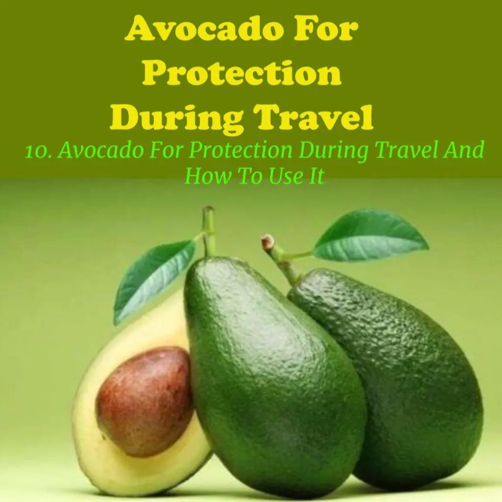 Avocado For Protection During Travel