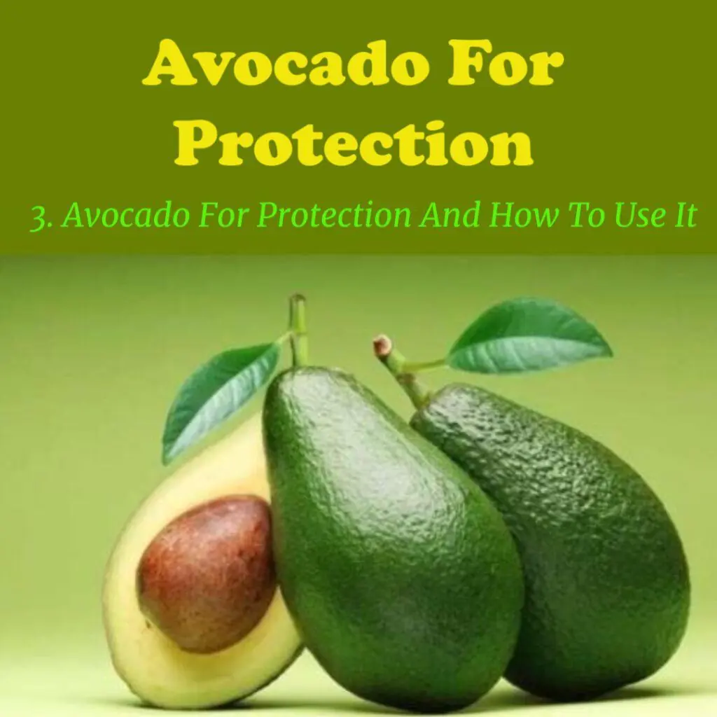 Avocado For Protection