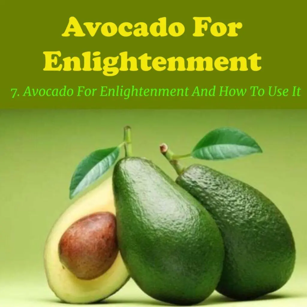 Avocado For Enlightenment