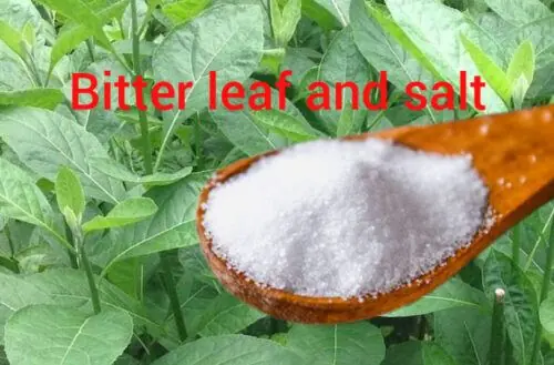 Bitter leaf and salt