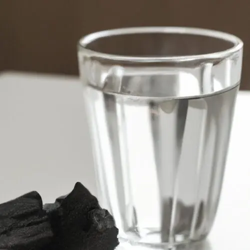 A piece of charcoal being used to purify water