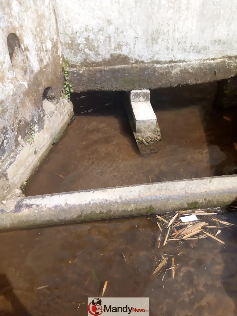 River Oni at Efon Alaaye, Ekiti State