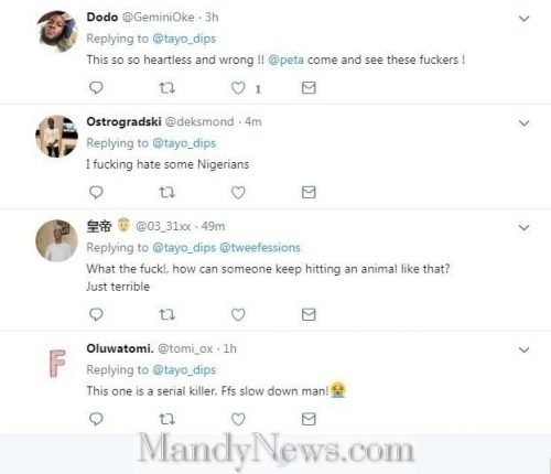 Nigerians Reacts As Babcock Student Kills An Antelope In The Premises (Video) 8 Screenshot 5 2