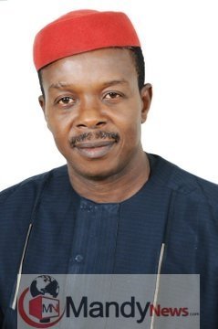 Declare Imo North Senatorial Result Now, PDP Charges INEC