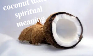 Prayer Point With Coconut Water For 2022