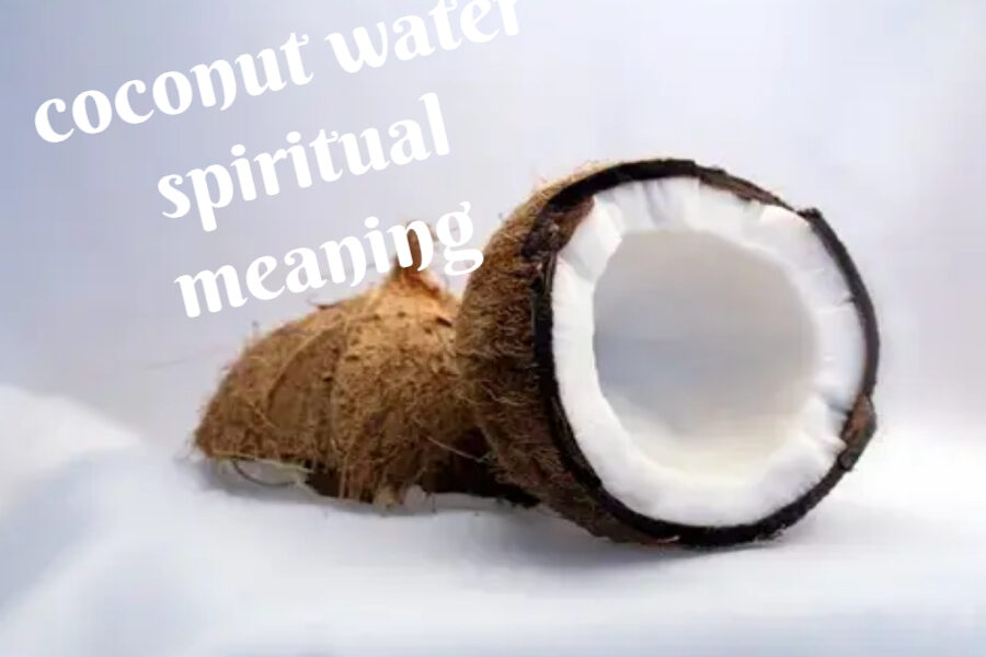 Prayer Point With Coconut Water For 2022