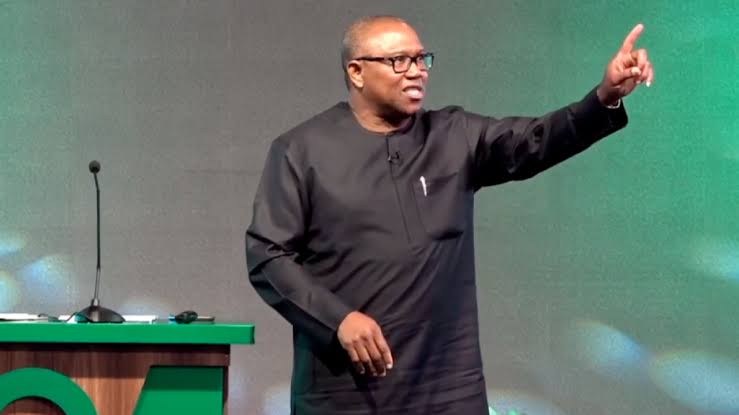 Election 2023 Profile: Peter Obi| Biography, Education, & Facts