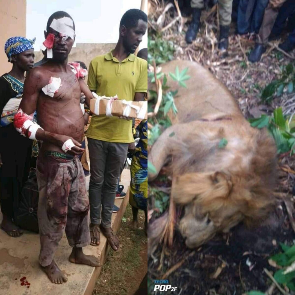 Uganda Man Killed Lion With His Bare Hands (Photos)