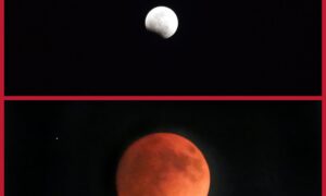 Eclipse 2022 Pictures: Best Photos Of The Blood Moon