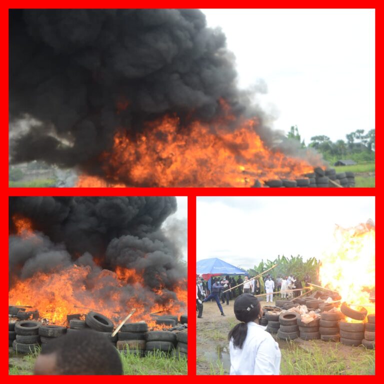 NDLEA Sets Ablaze N194 Billion Worth Of Cocaine Seized From Ikorodu