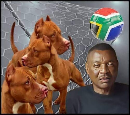 Uncovering The Truth: Fact-Checking The Viral Video Of Philemon Mulala's Mauling By Own Dogs