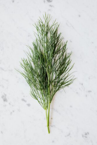 20 Powerful Herbs for Financial Prosperity: How to Use Herbs to Attract Money 7 bunch of fresh dill placed on table