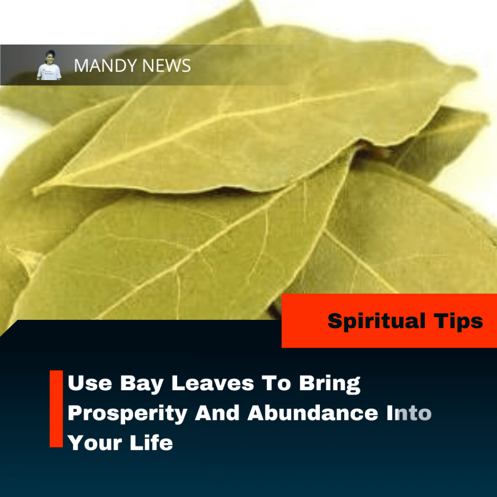 Use Bay Leaves To Bring Prosperity And Abundance Into Your Life
