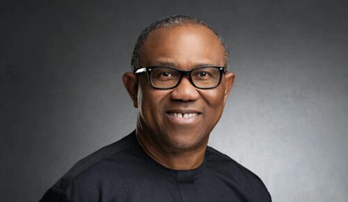 Peter Obi Vows to Prove Election Victory: 'We Won and We'll Show It'