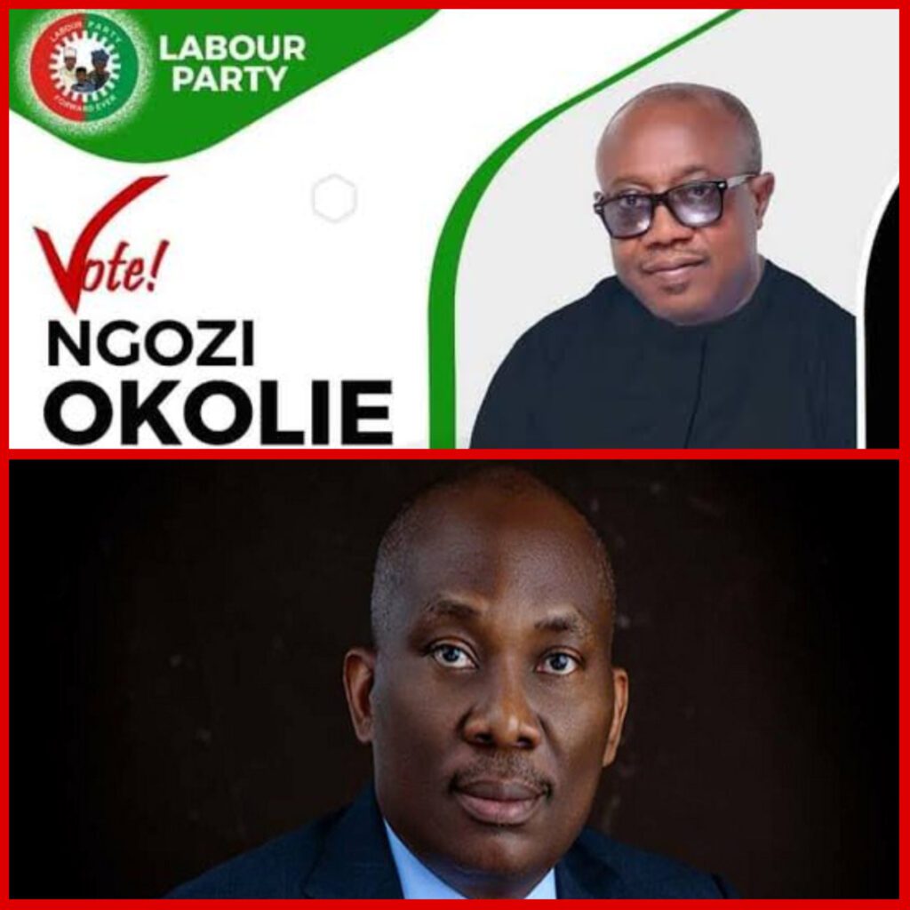 Lp's Okolie Defeats House Of Reps Minority Leader, Elumelu In Re-election Bid