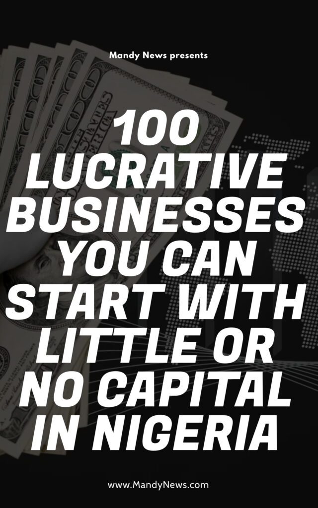 100 Best And Most Profitable Businesses In Nigeria With Low Capital 3 100 LUCRATIVE BUSINESSES YOU CAN START WITH LITTLE OR NO CAPITAL IN NIGERIA