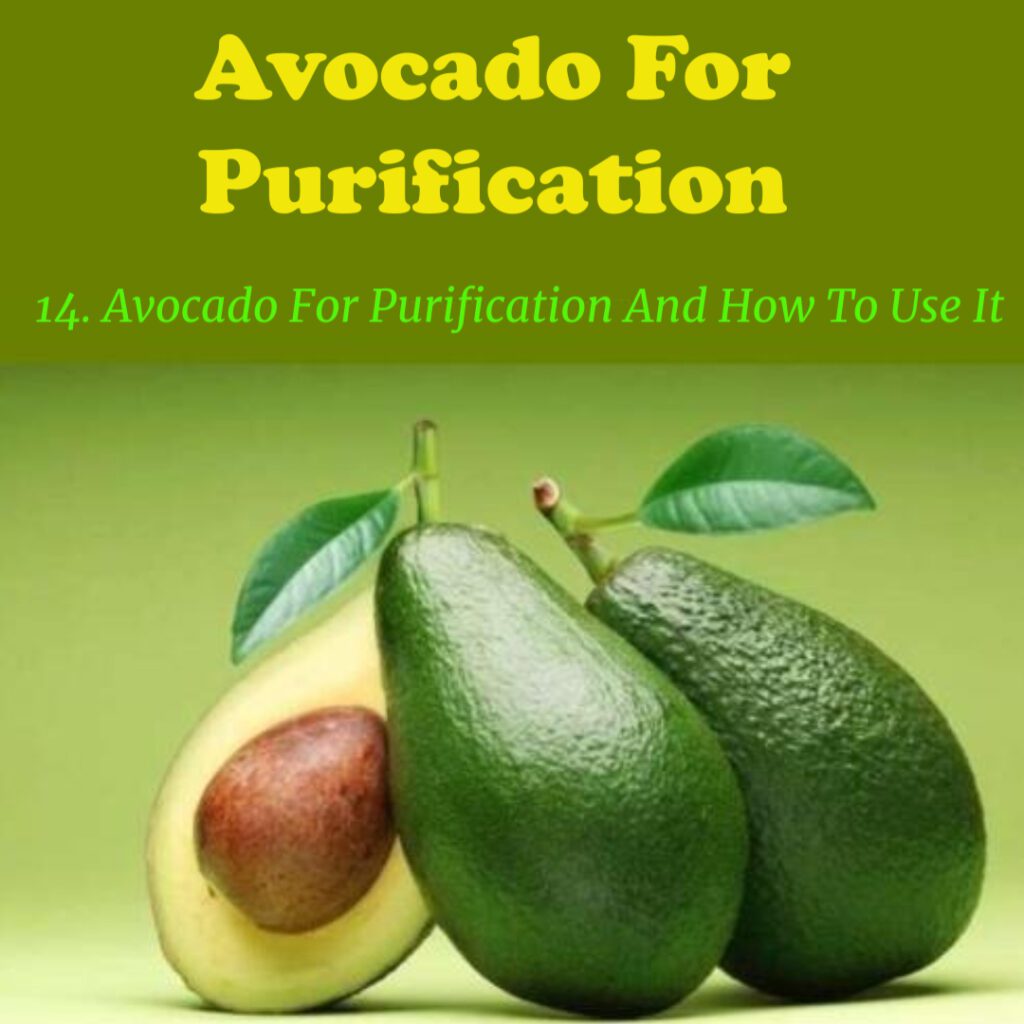 Avocado For Purification