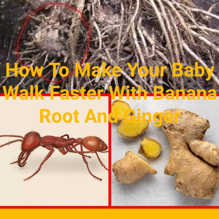 How To Make Your Baby Walk Faster With Banana Root And Ginger