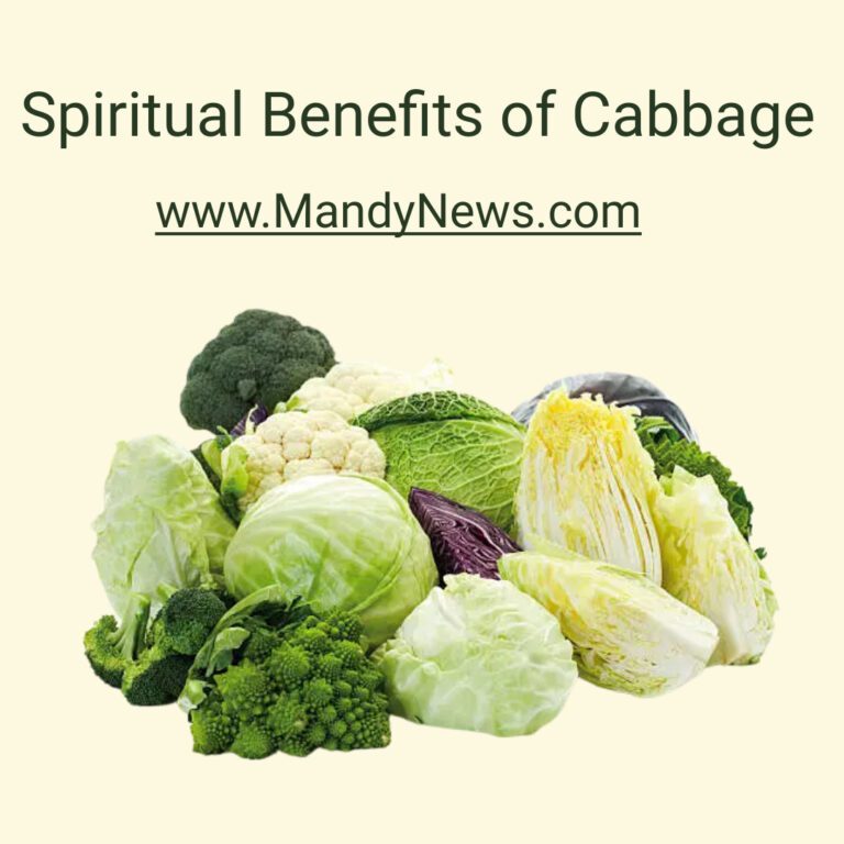 How the Spiritual Benefits of Cabbage Can Transform Your Life