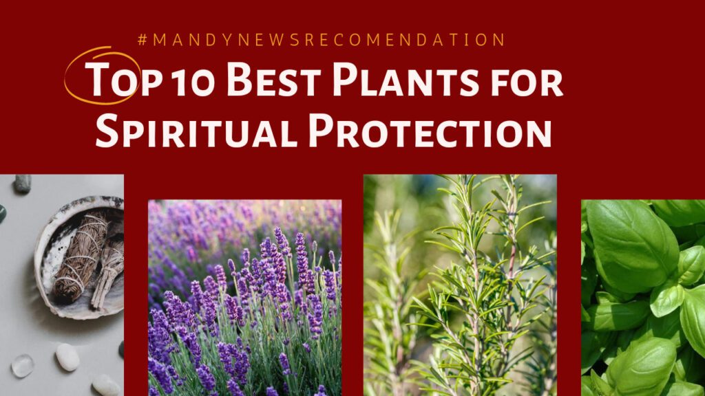 Top 10 Best Plants for Spiritual Protection