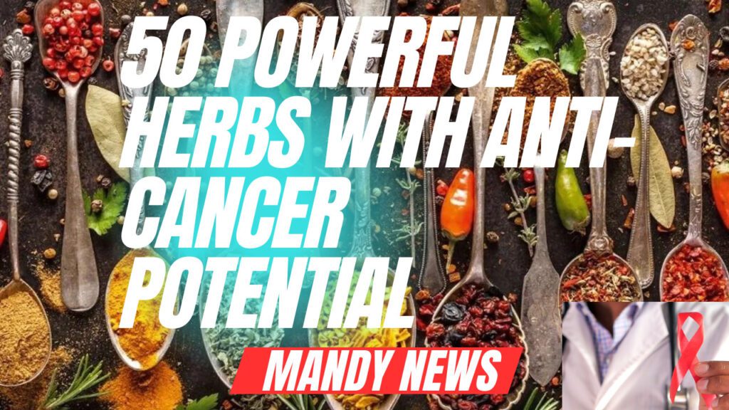 50 Powerful Herbs With Anti-Cancer Potential: Nature's Healing Secrets