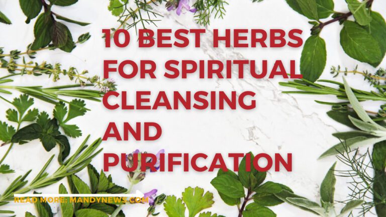 10 Best Herbs For Spiritual Cleansing And Purification And How to Use Them