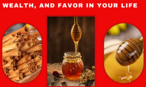 The Power Of Cinnamon And Honey: Attracting Love, Wealth, And Favor In Your Life