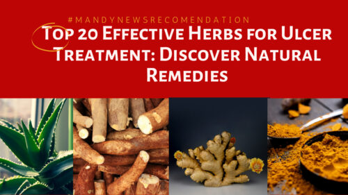 Top 20 Effective Herbs for Ulcer Treatment: Discover Natural Remedies