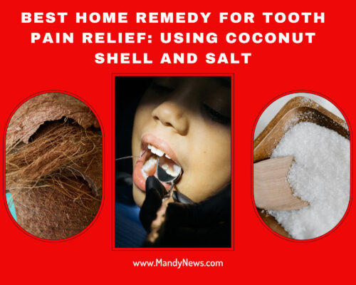 Best Home Remedy For Tooth Pain Relief: Using Coconut Shell And Salt