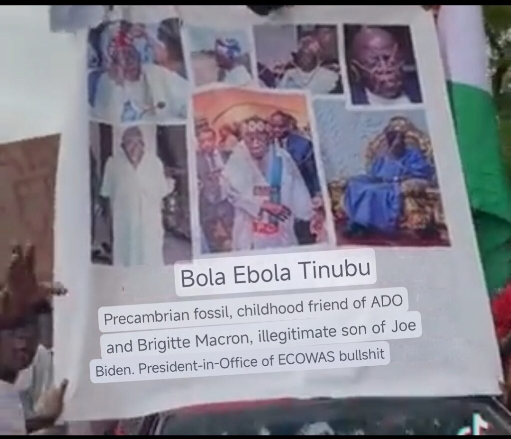 Niger Protesters Rename Nigerian President “Ebola Tinubu”