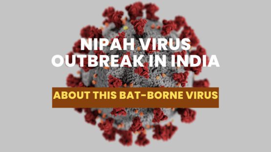Nipah Virus Outbreak In India: Everything You Need To Know About This Bat-Borne Virus