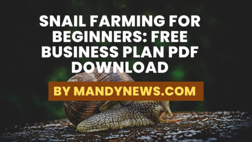 Snail Farming For Beginners: Free Business Plan PDF Download