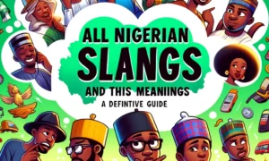 All Nigerian Slangs And Their Meaning: A Definitive Guide