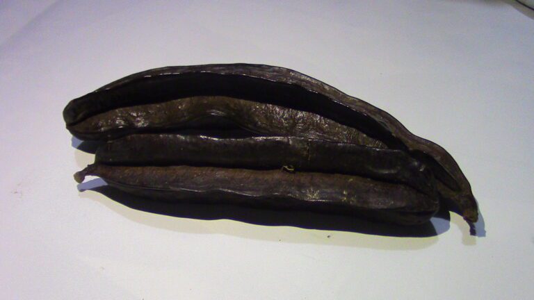 How to Cure Prostate Cancer Stage 1 Naturally with Prekese, Turmeric, and Ginger